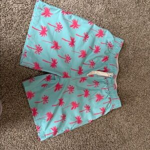Abercrombie Kids Blue and Pink Swim Trunks